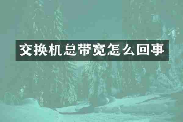 交换机总带宽怎么回事