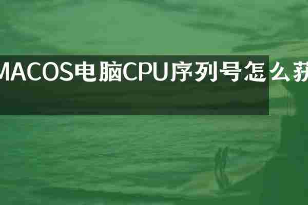MACOS电脑CPU序列号怎么获取