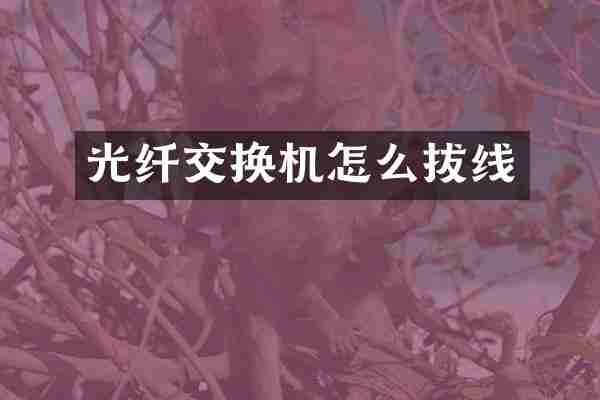 光纤交换机怎么拔线