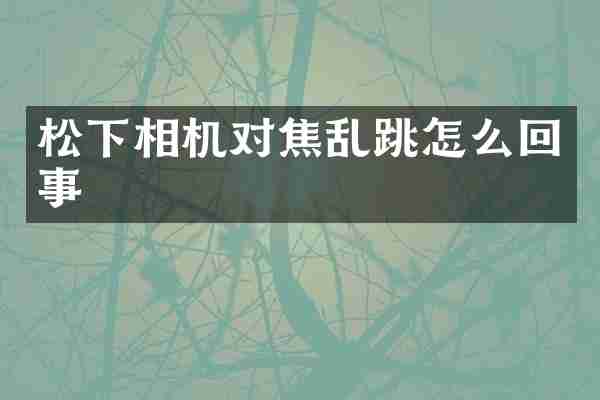 松下相机对焦乱跳怎么回事