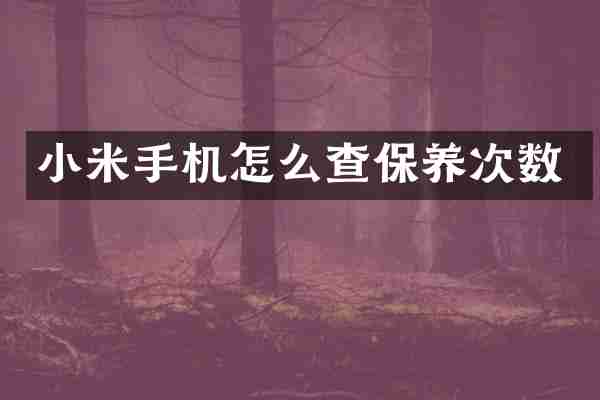 小米手机怎么查保养次数