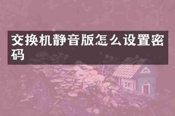 交换机静音版怎么设置密码