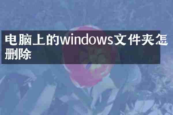 电脑上的windows文件夹怎么删除