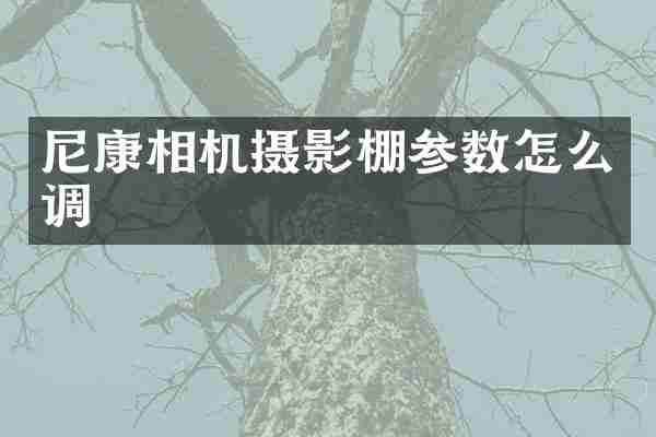 尼康相机摄影棚参数怎么调
