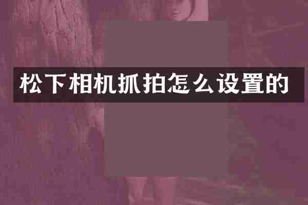 相机抓拍怎么设置的