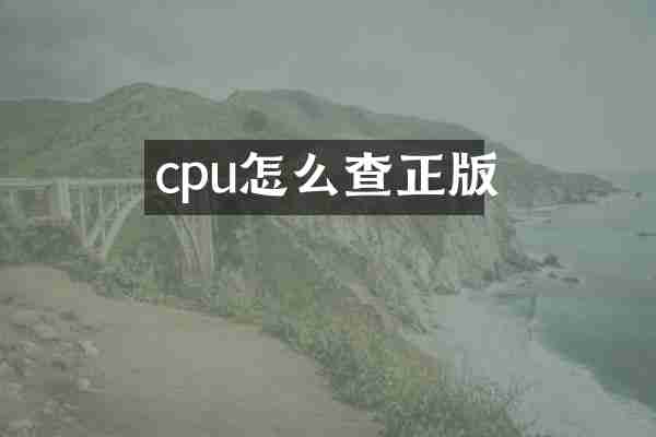 cpu怎么查正版