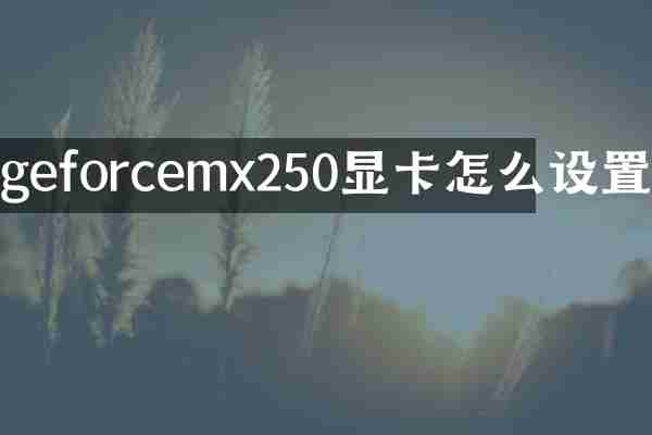 geforcemx250显卡怎么设置