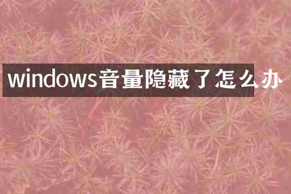 windows音量隐藏了怎么办