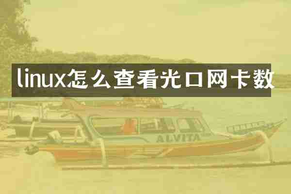 linux怎么查看光口网卡数