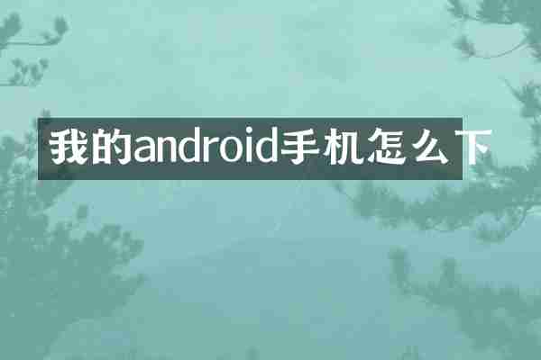 我的android手机怎么下