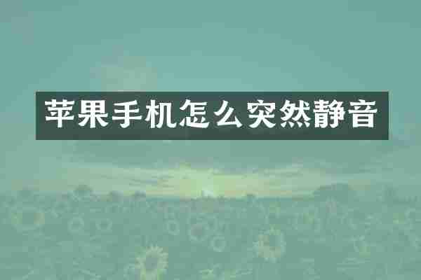 苹果手机怎么突然静音