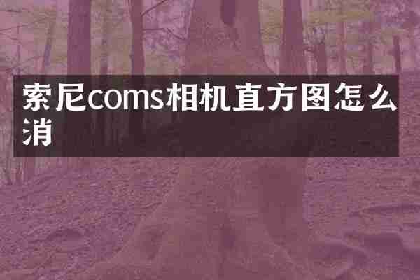 coms相机直方图怎么取消