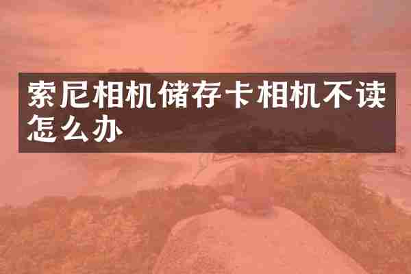 相机储存卡相机不读怎么办