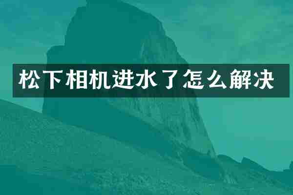 相机进水了怎么解决