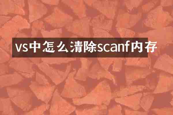 vs中怎么清除scanf内存