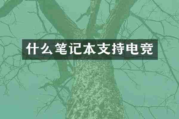 什么笔记本支持电竞