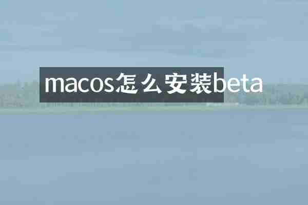 macos怎么安装beta