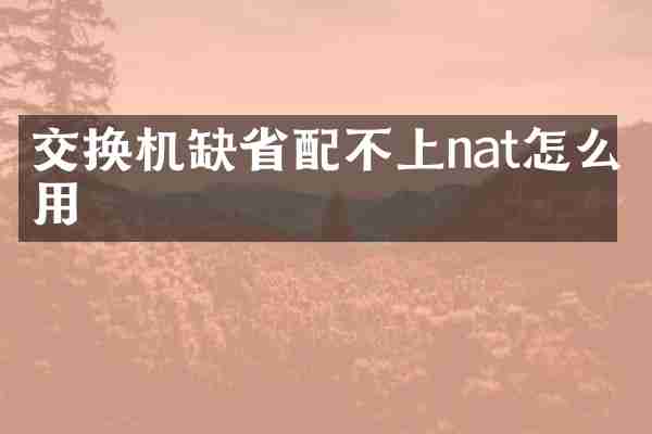 交换机缺省配不上nat怎么用
