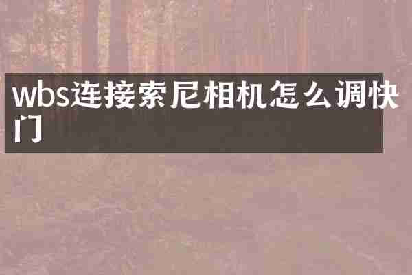wbs连接相机怎么调快门