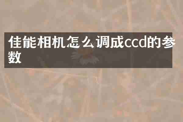 佳能相机怎么调成ccd的参数