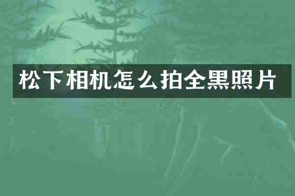 相机怎么拍全黑照片