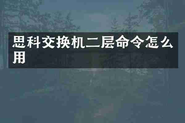 思科交换机二层命令怎么用
