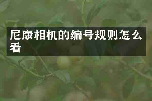 尼康相机的编号规则怎么看