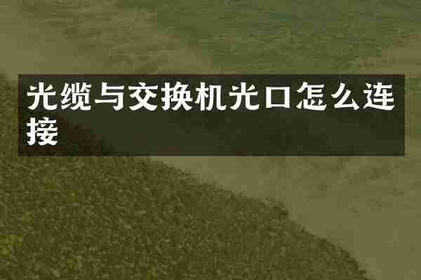 光缆与交换机光口怎么连接