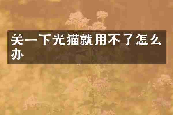 关一下光猫就用不了怎么办