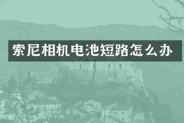 相机电池短路怎么办