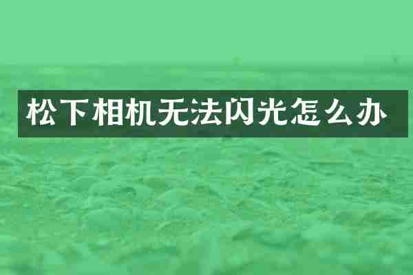相机无法闪光怎么办