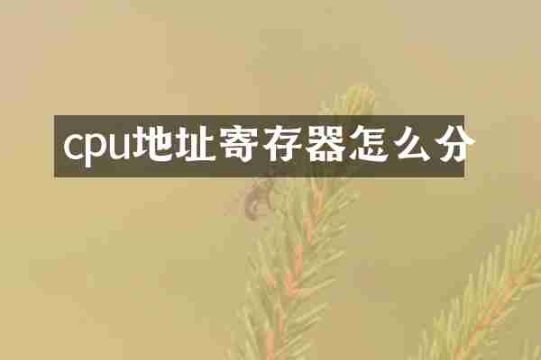cpu地址寄存器怎么分