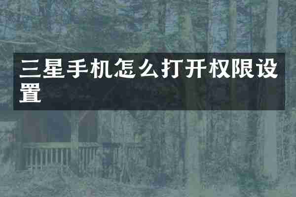 三星手机怎么打开权限设置