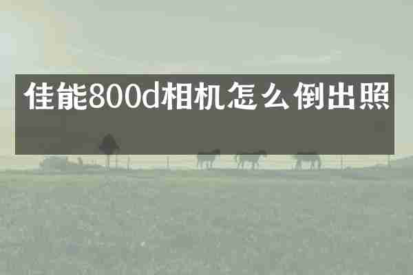 佳能800d相机怎么倒出照片