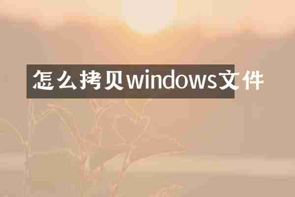 怎么拷贝windows文件