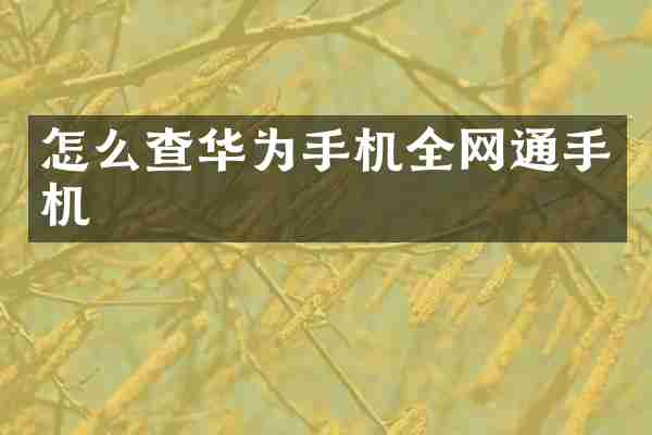 怎么查华为手机全网通手机