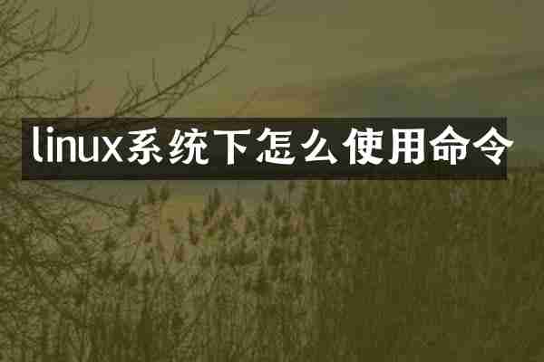 linux系统下怎么使用命令
