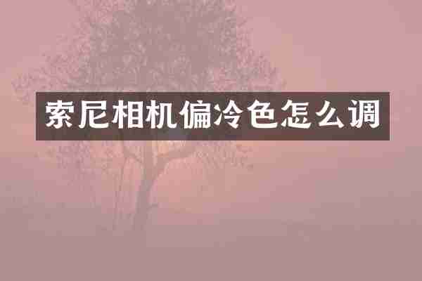 相机偏冷色怎么调