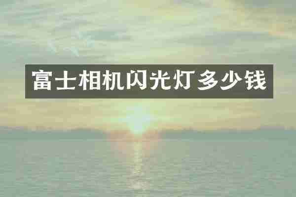富士相机闪光灯多少钱