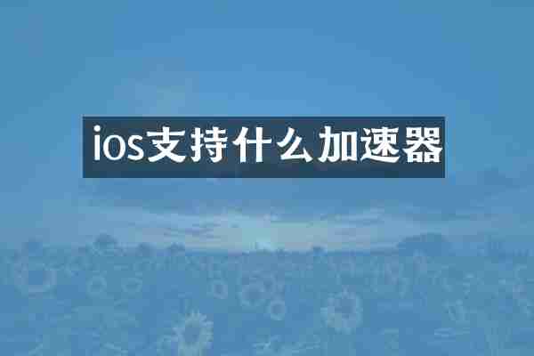 ios支持什么加速器