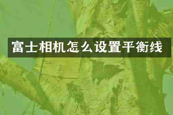 富士相机怎么设置平衡线