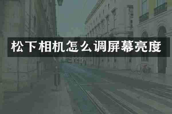 松下相机怎么调屏幕亮度