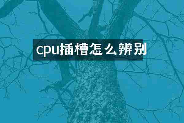 cpu插槽怎么辨别