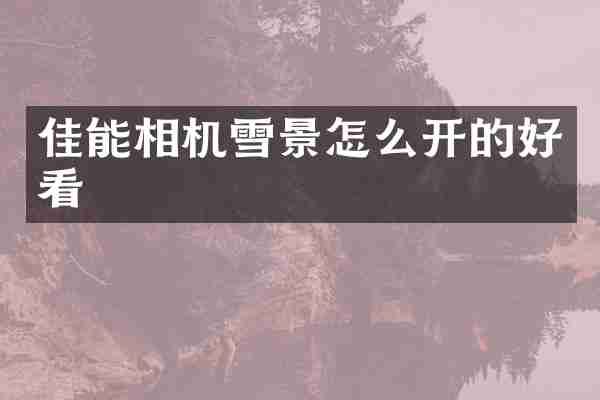 佳能相机雪景怎么开的好看