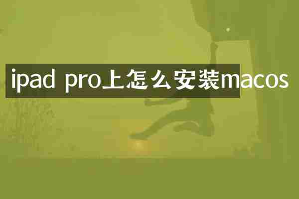 ipad pro上怎么安装macos
