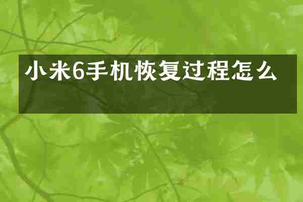 小米6手机恢复过程怎么写