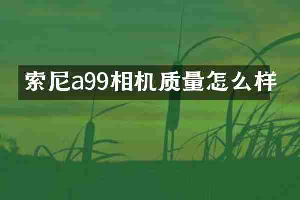 a99相机质量怎么样