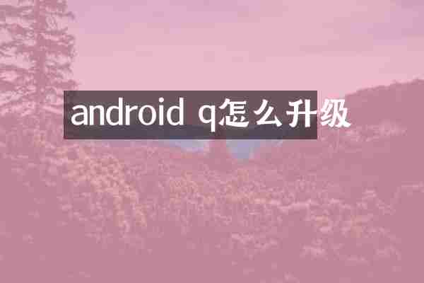 android q怎么升级