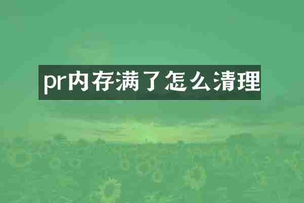 pr内存满了怎么清理