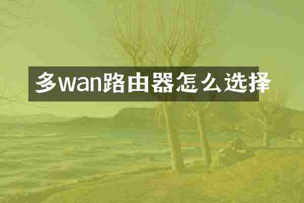 多wan路由器怎么选择